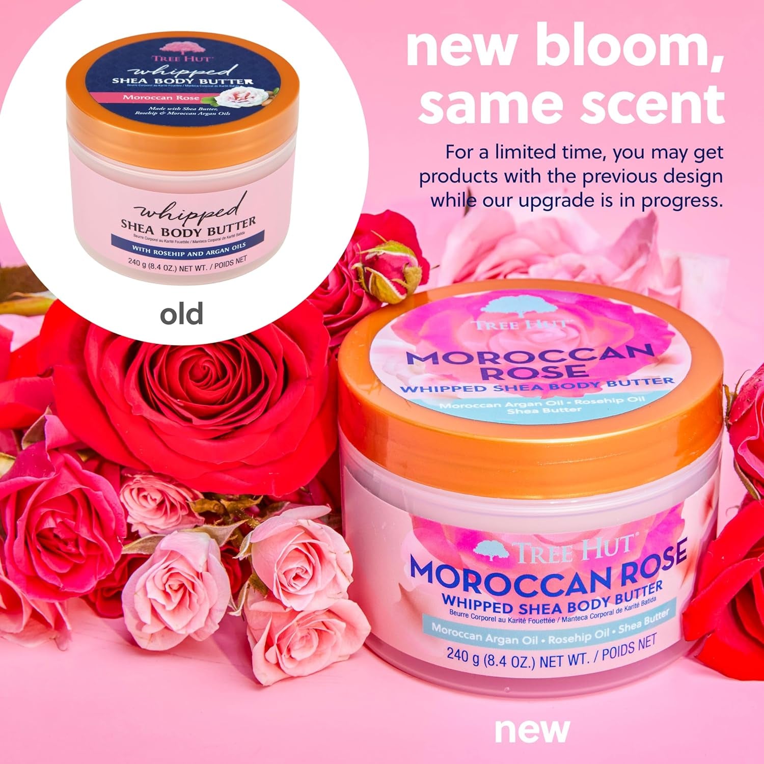 - Manteca Corporal De Rosa De Marruecos - Moroccan Rose - Bote 240 G - Contiene Rosa De Mosqueta Y Manteca De Karité - Mejora La Elasticidad - Nutre En Profundidad Y Suaviza La Piel Seca